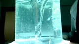Comprendre les vortex en créant une ”tempête” dans un seau d’eau!