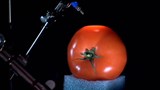 La spectroscopie à l'épicerie ? Peut-être bientôt possible !