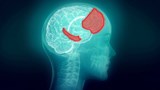 Effacer des souvenirs : scientifiquement possible !