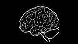 La neuroéducation au secours des enseignants
