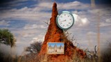 Capsule scientifique : <br>
Une science qui imite la nature : la biomimétique