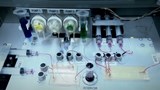 Reportage 1 :<br>
La salubrité des aliments testée grâce à un laboratoire de poche biodégradable.
