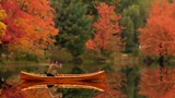 Capsule de Pierre Chastenay:<br>
Pourquoi les feuilles d'ici rougissent l'automne ?