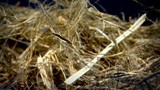 Reportage 2:<br>
Des déchets agricoles pour faire voler les avions.