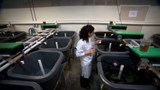 Reportage 1:<br>
Une moulée pour rendre les truites d'élevage moins polluantes.