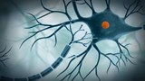 Reportage 2:<br>
Percée dans le domaine de la maladie d'Alzheimer.