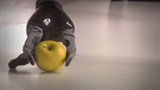 Reportage 1:<br>
Une main robotisée dotée du sens du toucher.