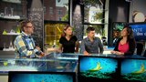 Dans les labos d'ici et d'ailleurs:<br>
Un bilan de santé de nos océans.