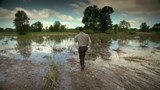 Les abords des ruisseaux en zone agricole sous espionnage.