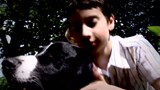 La zoothérapie pour diminuer le stress des enfants autistes.