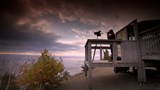 Oiseaux migrateurs sous observation à Tadoussac.
