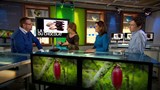 Dans les labos d'ici et d'ailleurs:<br>
Le futur incertain du chocolat.