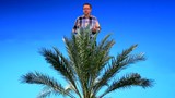 Capsule de Pierre Chastenay : <br>
Une production plus verte de l'huile de palme.