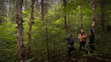 La survie en forêt à l'étude dans un laboratoire du Saguenay.