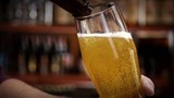 De l'orge, du houblon et des gènes.