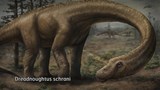 Dans les labos d'ici et d'ailleurs : <br>
le plus gros dinosaure jamais découvert