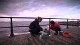 Le Saint-Laurent contaminé par des tonnes de microbilles de plastique.