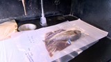 Adieu<em> E. coli </em> et salmonelle!