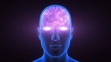 Recouvrer la vue: un chantier neuronal