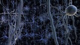 Une lumière qui contrôle les rêves