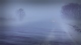 Mieux prédire le climat grâce au vortex polaire