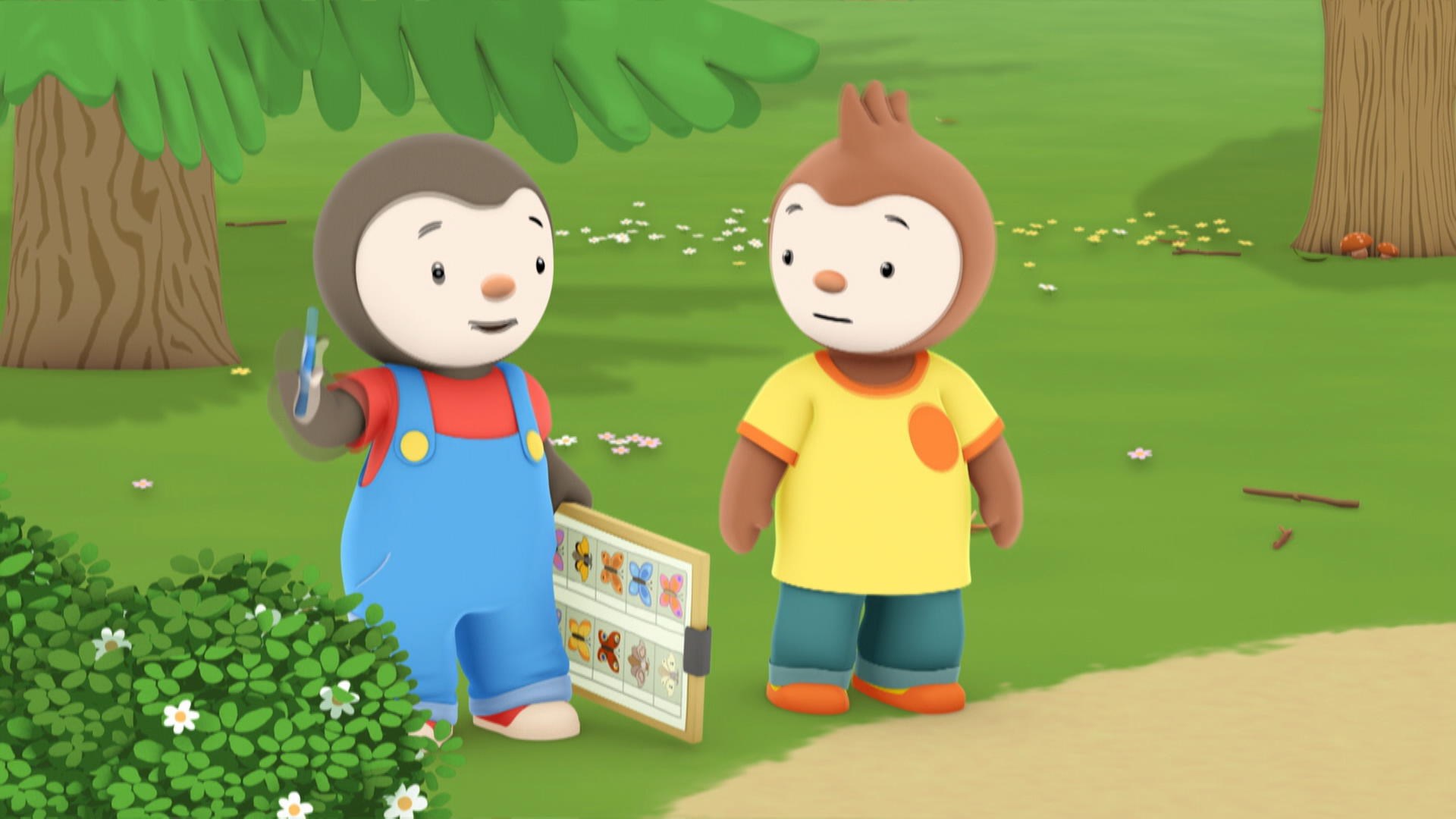 1, 2, 3 papillons ! | T'choupi à l'école | Zone Vidéo Télé-Québec