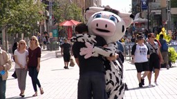 Défi mascotte