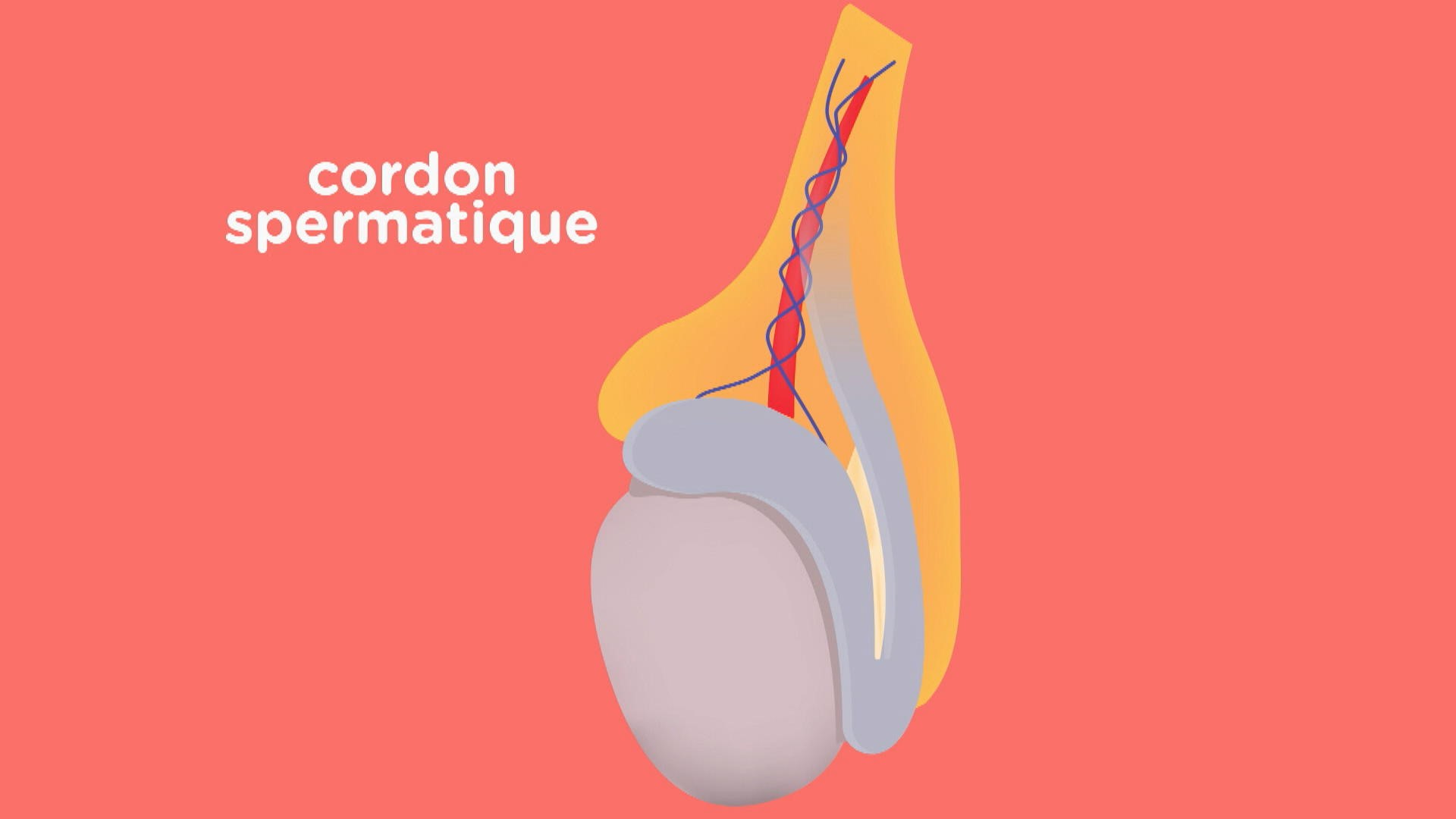 A Quoi Equivaut Un Coup Dans Les Testicules