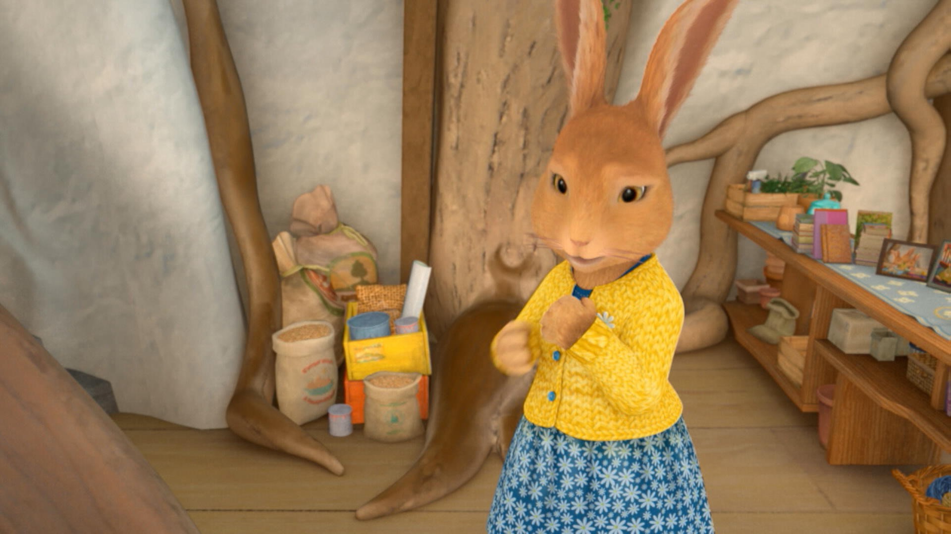 Les Mangeurs De Lapin Palais Des Glaces Les précieux objets de maman | Pierre Lapin | Zone Vidéo Télé-Québec