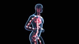 Cancer et exercice physique