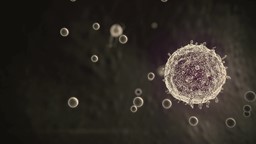 Marianne au labo : Espoir de guérison avec la découverte des cellules qui servent de cachette au virus du VIH.