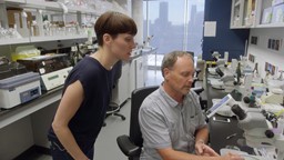 Le poisson-zèbre pour trouver un médicament pour les personnes souffrant de la sclérose latérale amyotrophique, SLA