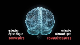 Pourquoi perd-on la mémoire en vieillissant ?