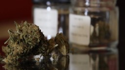 Comment le cannabis permet-il de diminuer la douleur ?