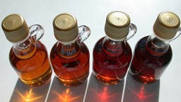 Pourquoi y a-t-il du sirop d'érable pâle et du sirop foncé?
