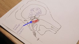 Une méthode de rééducation pour les nez qui ont perdu l'odorat