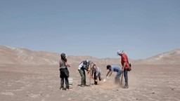 Faire pousser des patates sur Mars?