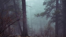 Qu'est-ce qui donne au sapin son odeur particulière?