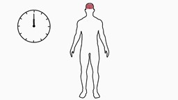 Qu'est-ce qu'il se passe dans notre corps quand on jeûne?