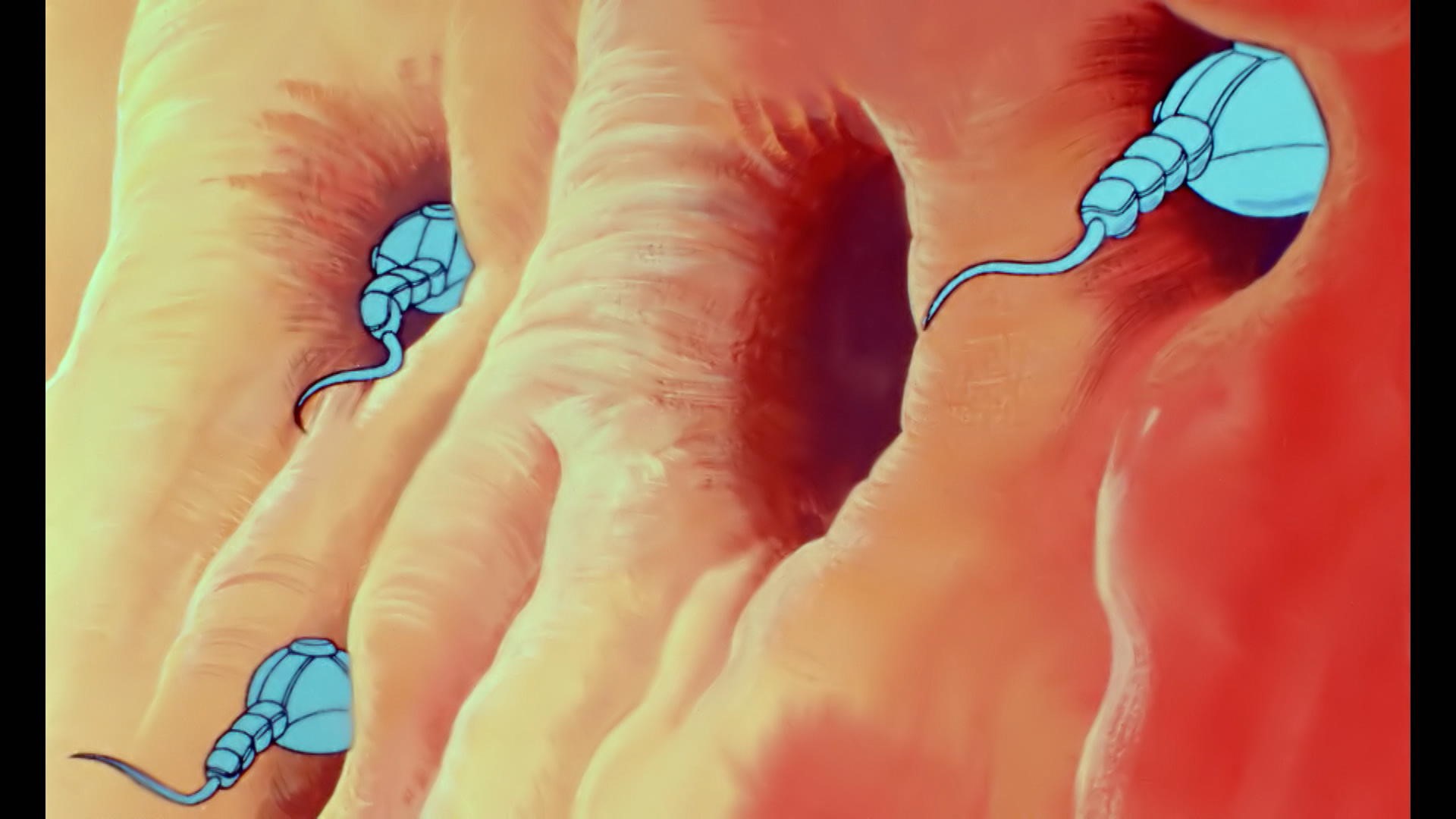 Il était Une Fois La Vie La Naissance La naissance | Il était une fois la vie | Zone Vidéo Télé-Québec