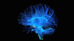 50 ans de progrès en imagerie médicale