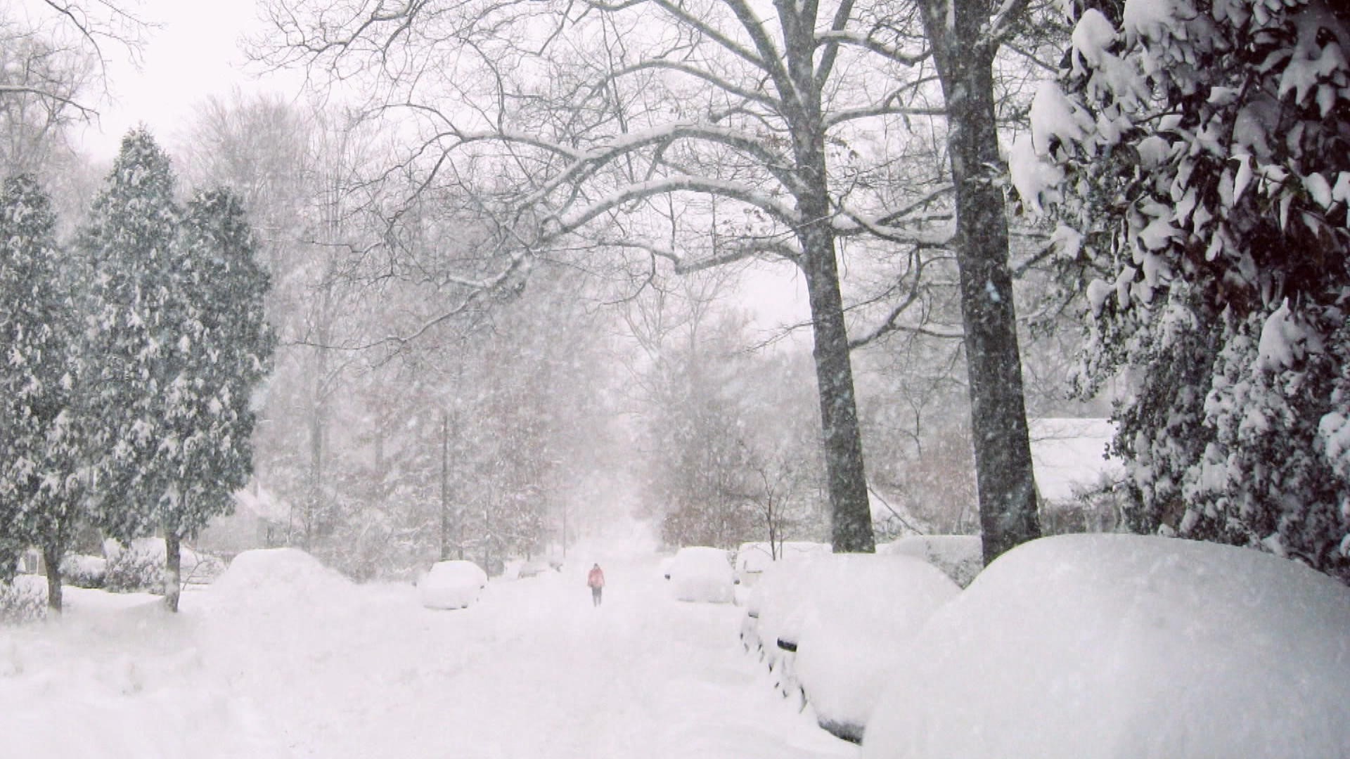 pourquoi-est-ce-que-tout-est-si-calme-apr-s-une-temp-te-de-neige