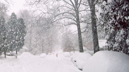Pourquoi est-ce que tout est si calme après une tempête de neige?