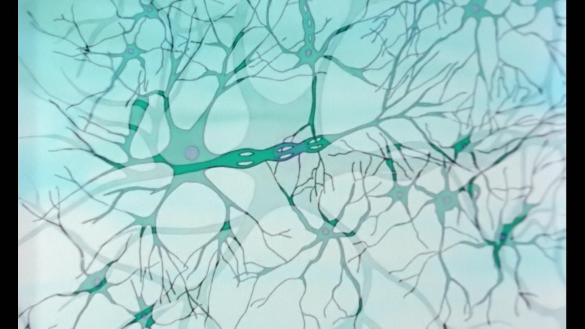 Microbe Il Etait Une Fois La Vie Épisode 10 | Il était une fois la vie | Zone Vidéo Télé-Québec