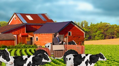 Investir notre argent dans un terrain, pourquoi pas!