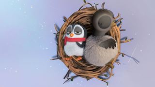 Les aventures du petit pingouin 